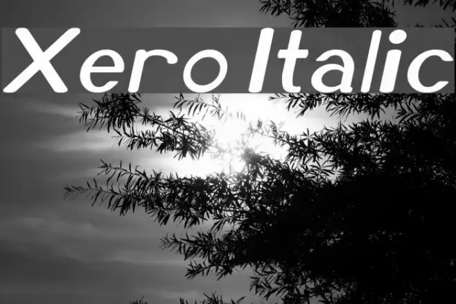 Xero Italic Font examples