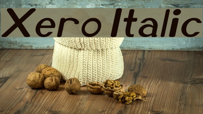 Xero Italic Example 2