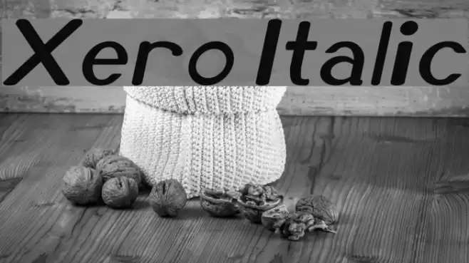 Xero Italic Font examples