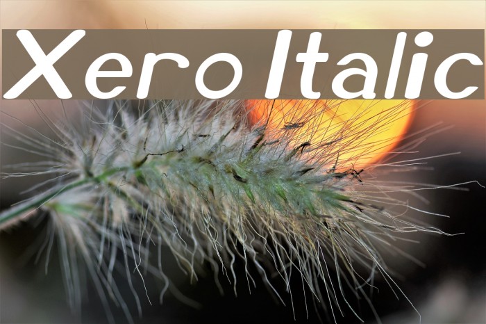 Xero Italic Example 3