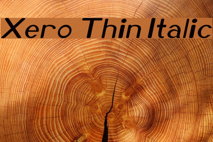 Xero Thin Italic Example 1