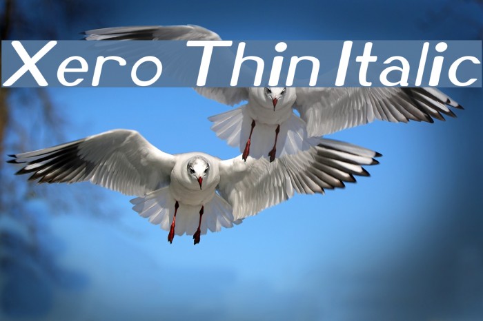Xero Thin Italic Example 3