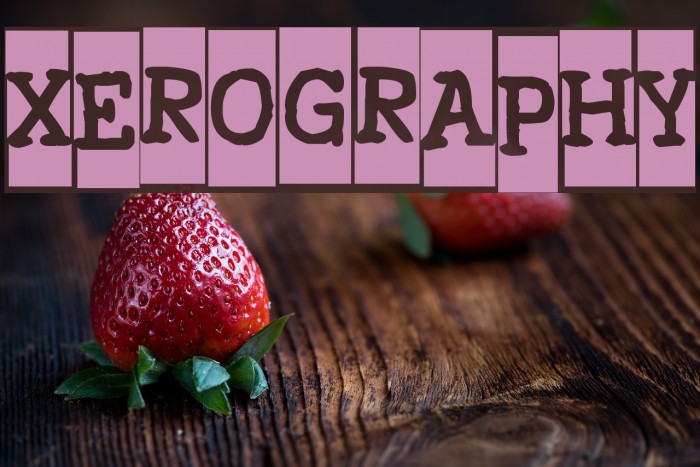 Xerography Font examples