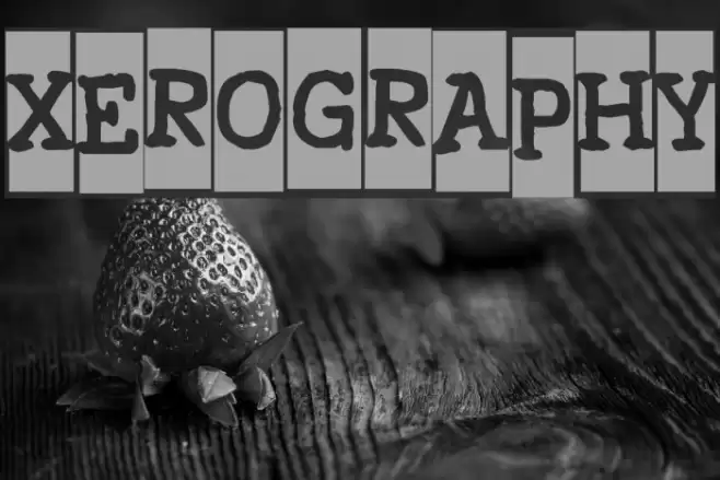 Xerography Font examples