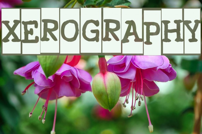 Xerography Font examples