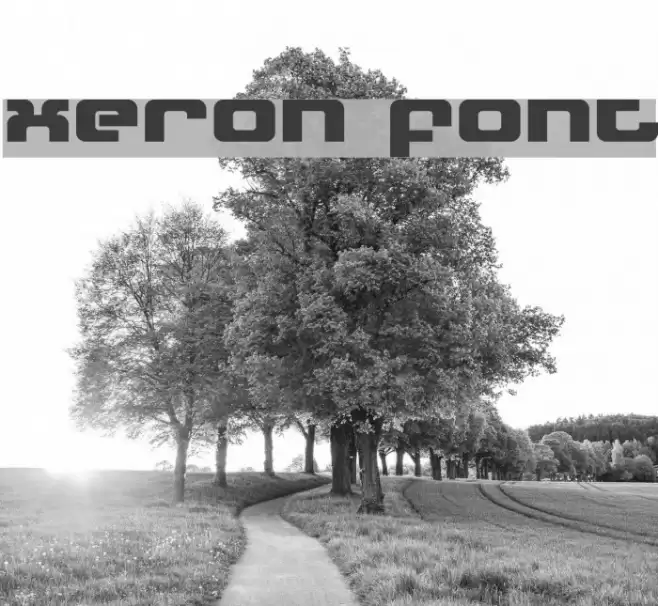 Xeron Polices examples