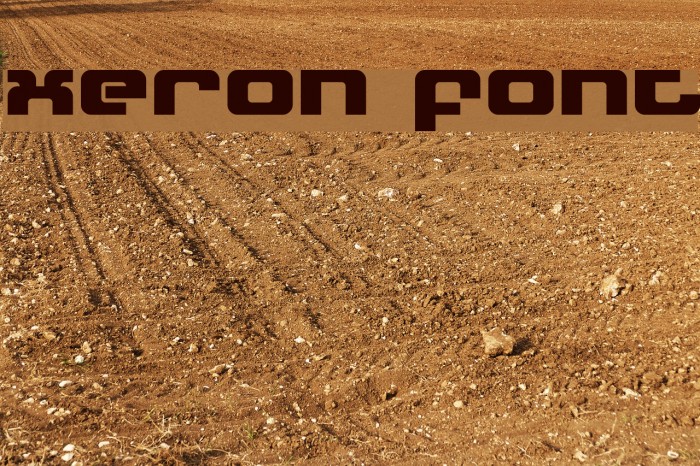 Xeron Polices examples