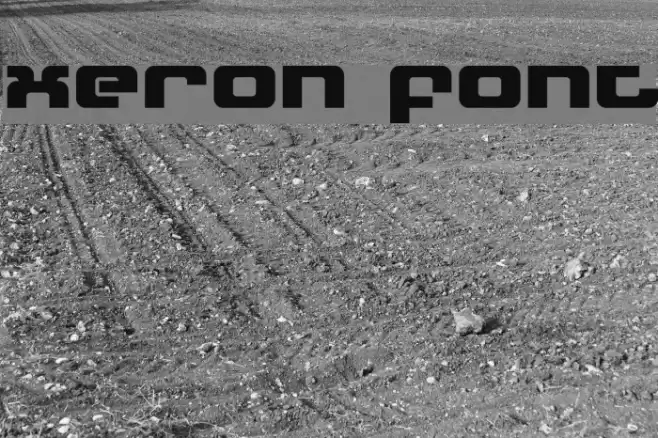 Xeron Polices examples