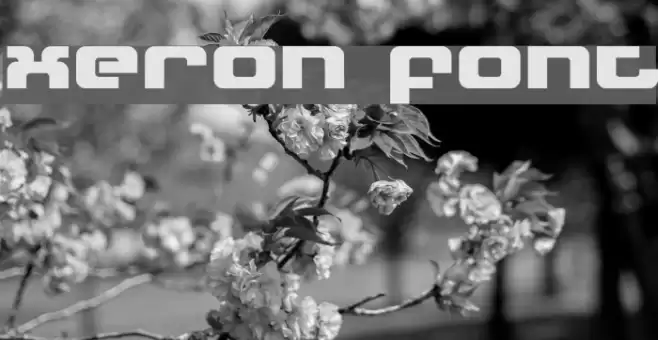 Xeron Polices examples