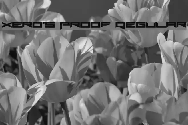 Xero's Proof Regular Font examples