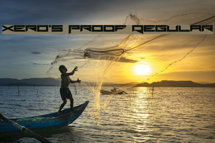 Xero's Proof Regular Example 2