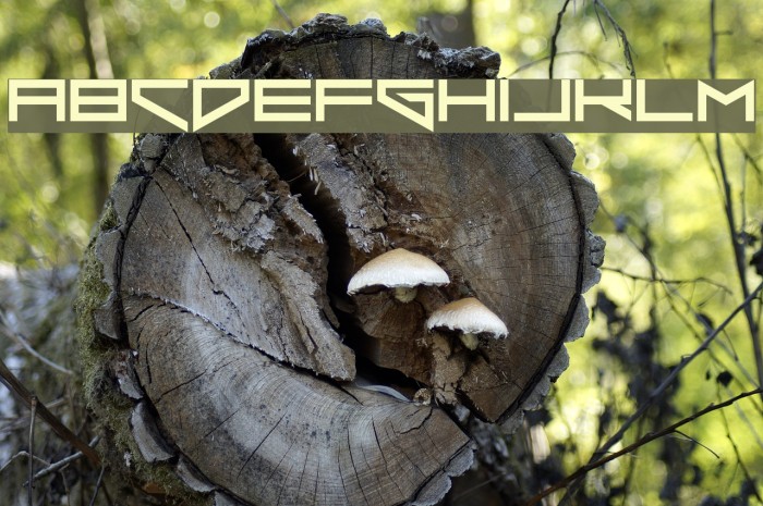 Xero's Punishment Example 1