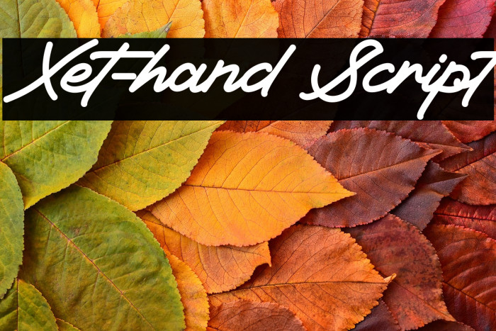 Xet-hand Script Example 2