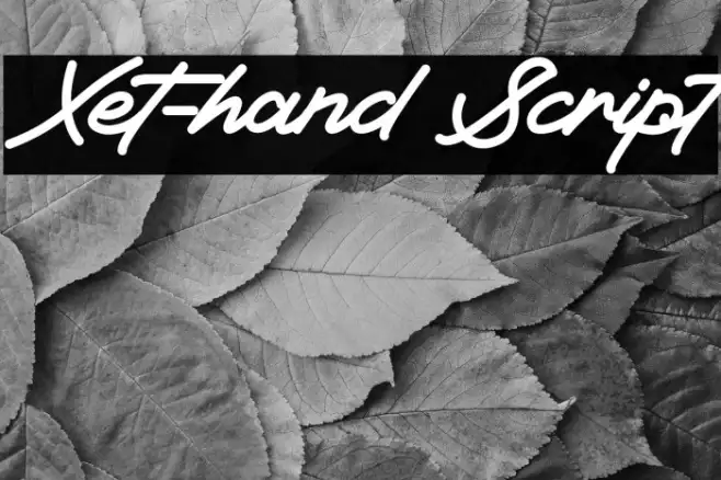 Xet-hand Script Example 2