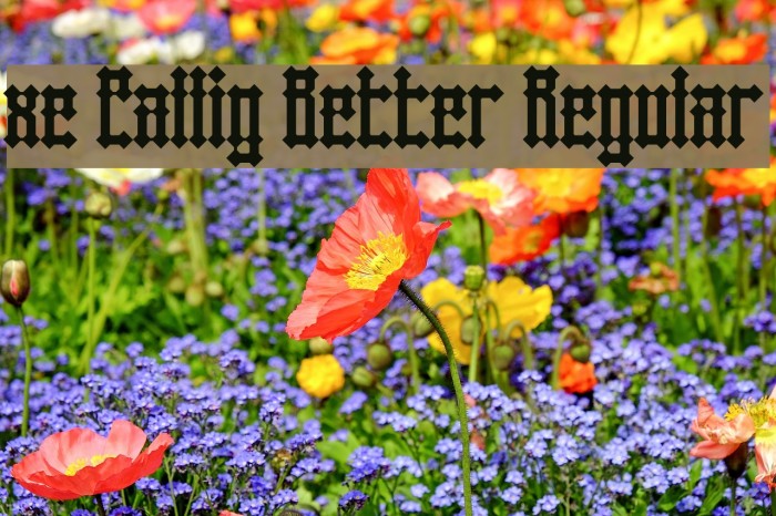 xe Callig Better Regular Example 1
