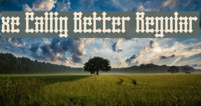 xe Callig Better Regular Example 2