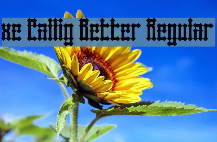 xe Callig Better Regular Example 3