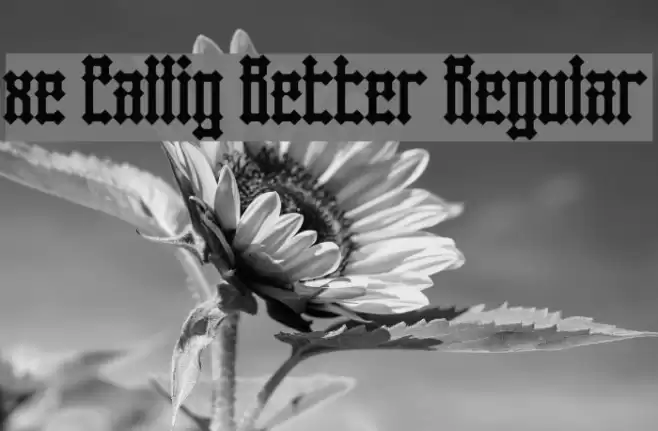 xe Callig Better Regular Font examples