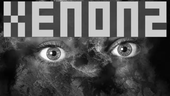 xenon2 Example 2
