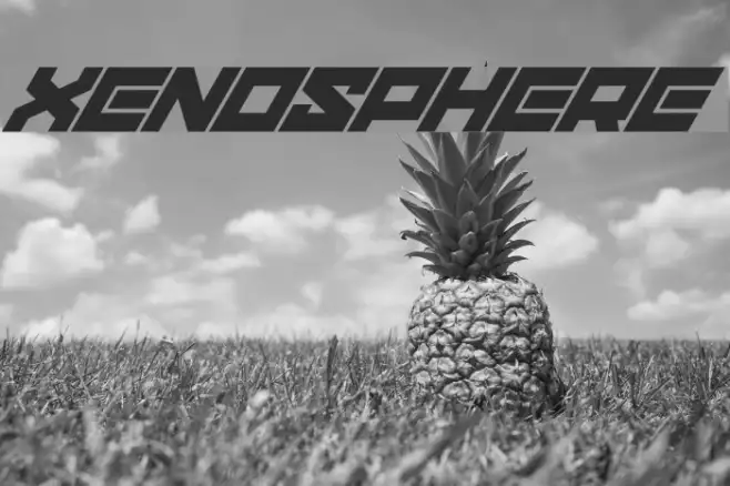 xenosphere Example 1