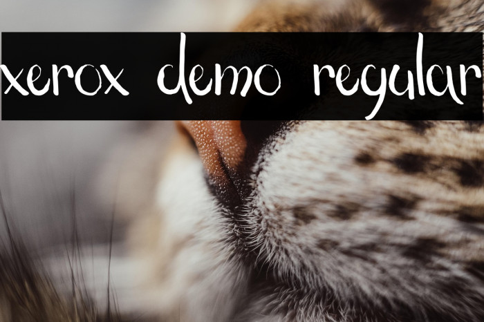 xerox demo regular Example 2