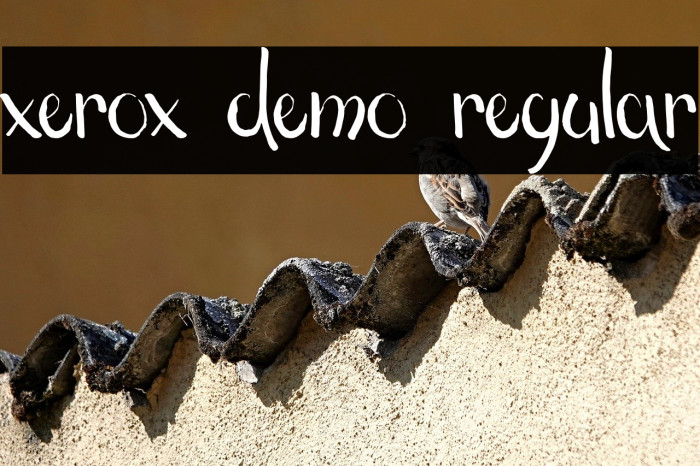 xerox demo regular Example 3