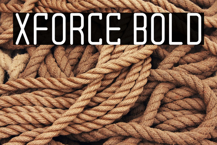 XForce Bold Example 1