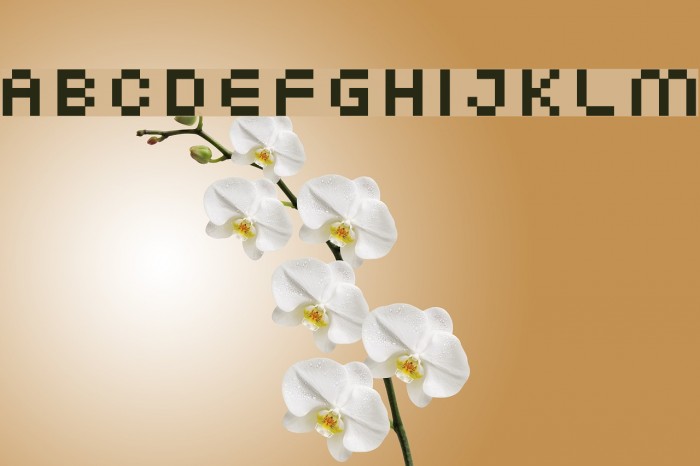 XG pixo Fonte examples