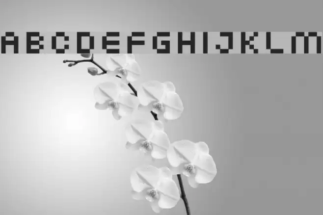 XG pixo Font examples