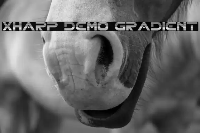 XHARP Demo Gradient Font examples