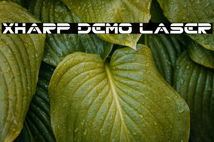 XHARP Demo LASER Example 1