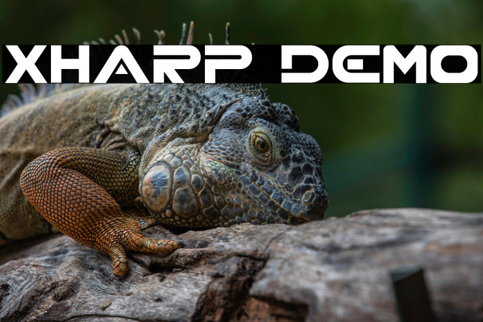 XHARP Demo Example 2