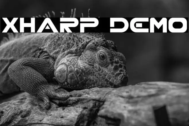 XHARP Demo Example 2