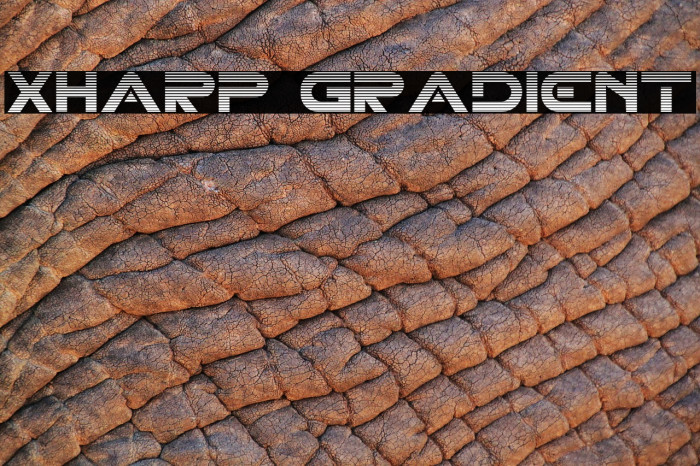 XHARP Gradient Font examples