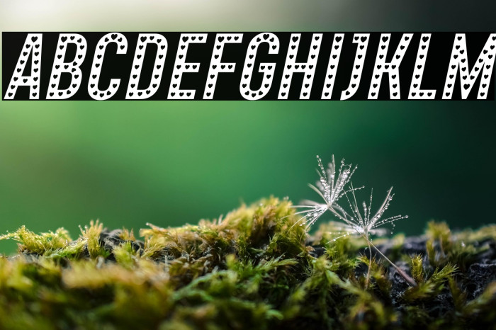 Xhers Alove Italic Example 1