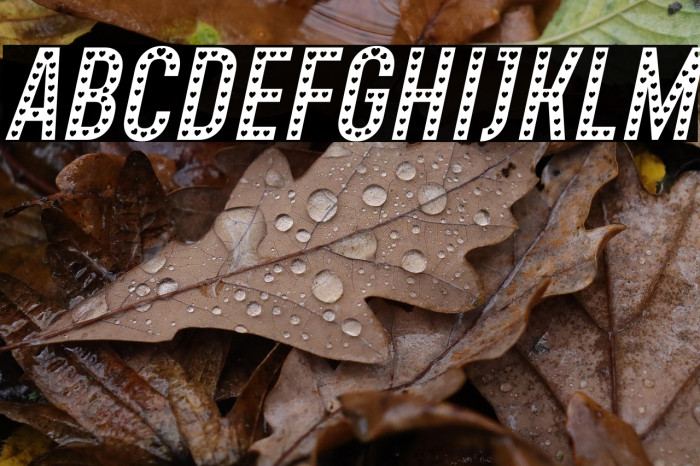 Xhers Alove Italic Example 2