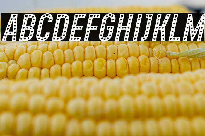 Xhers Alove Italic Example 3