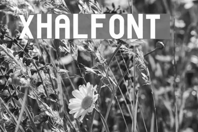 xhalfont Font examples