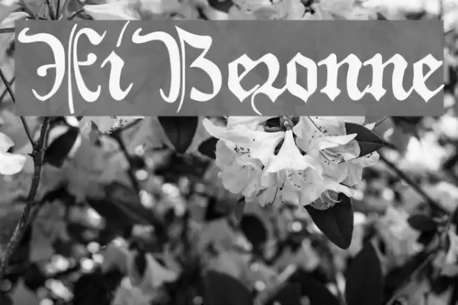 XiBeronne Fonte examples