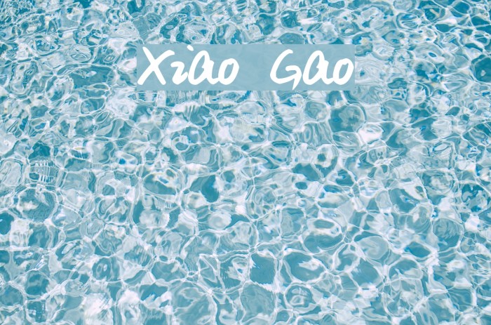Xiao Gao Font examples