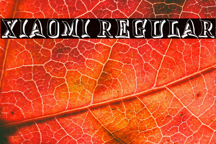 Xiaomi Regular Example 2