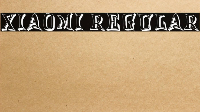 Xiaomi Regular Example 3