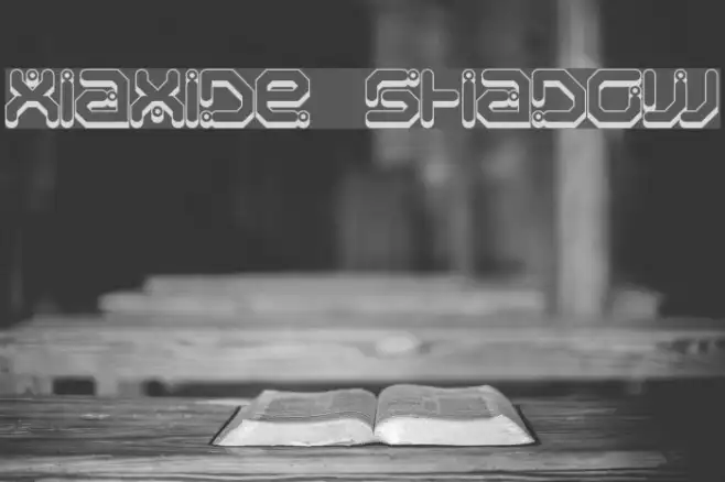 Xiaxide Shadow Example 1