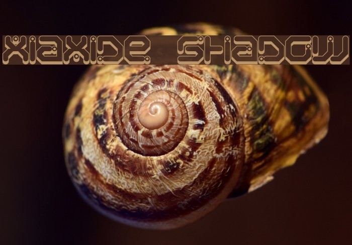 Xiaxide Shadow Font examples