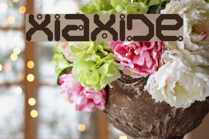 Xiaxide Font examples