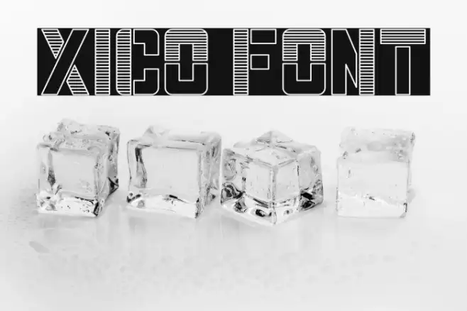 Xico Example 3