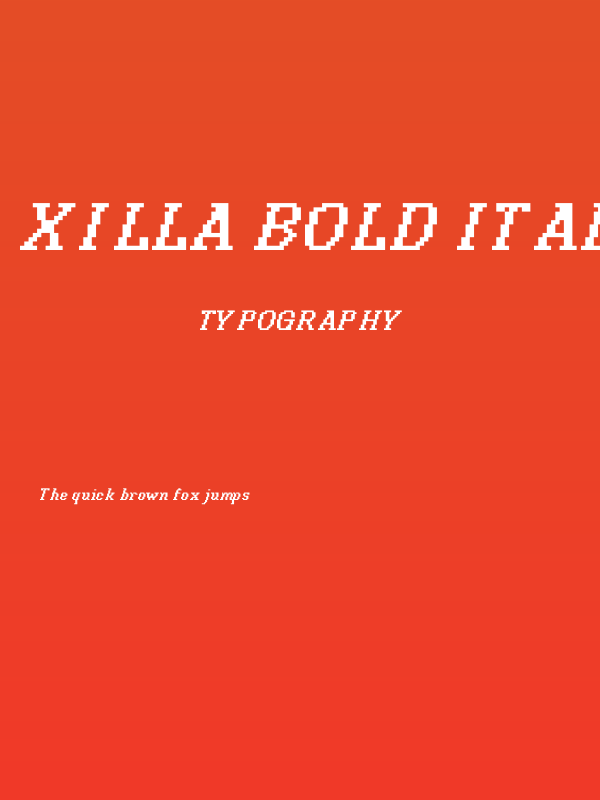 Xilla Bold Italic Poster