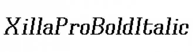 Xilla Pro Bold Italic  Frei Schriftart Herunterladen