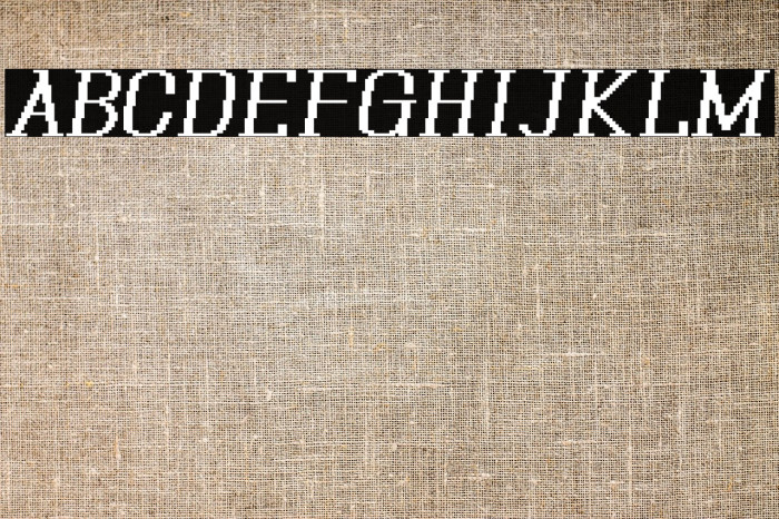 Xilla Pro Bold Italic Example 1