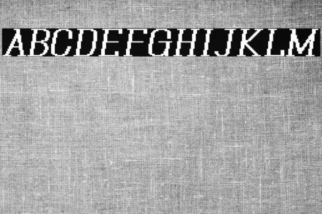 Xilla Pro Bold Italic Font examples